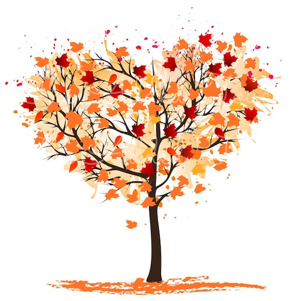 Herbstbild.jpg 